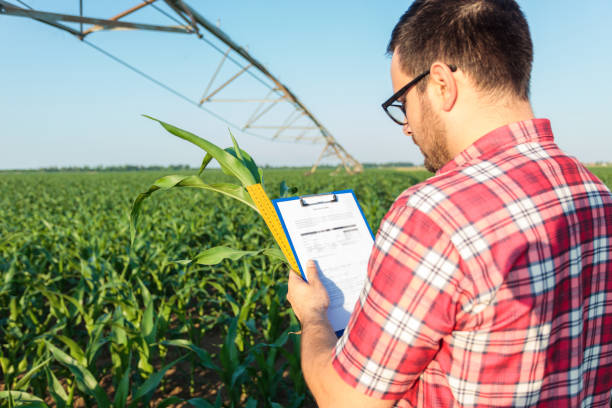 The Role of Big Data in Enhancing Agricultural Efficiency