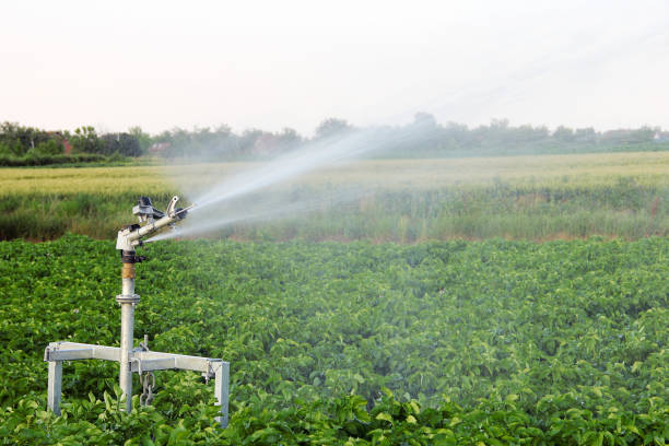 Smart Irrigation Systems: Conserving Water and Boosting Productivity